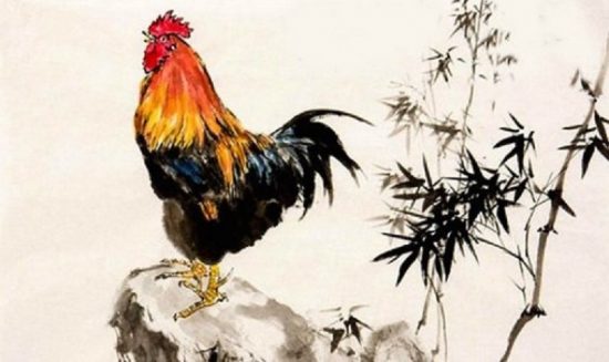 Xem tử vi 2026 tuổi Tân Dậu 1981 nam mạng