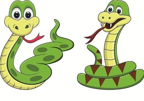 Tử vi tuổi Tân Tỵ sinh 2001 nam mạng trong năm Array 2026