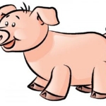 Tử vi năm 2026 tuổi Kỷ Hợi 1959 nữ mạng