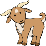 Tử vi năm 2026 tuổi Kỷ Mùi 1979 nam mạng