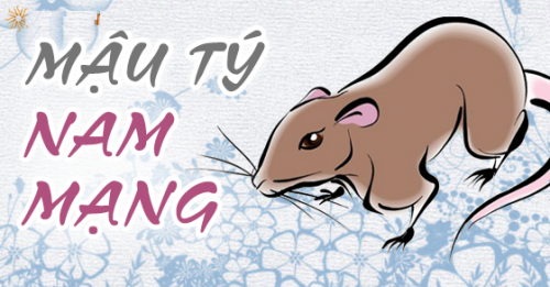Xem tử vi tuổi Mậu Tý 2008 nam mạng năm 2019