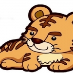 Tử vi năm 2026 tuổi Nhâm Dần 1962 nam mạng