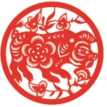 Tử vi năm 2026 tuổi Tân Hợi 1971 nữ mạng