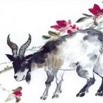 Tử vi năm 2026 tuổi Quý Mùi 2003 nữ mạng