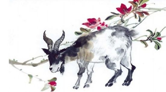 Tử vi 2026 tuổi Quý Mùi sinh năm 2003 nữ mạng.