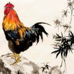 Tử vi vận mệnh năm 2026 cho người tuổi Dậu