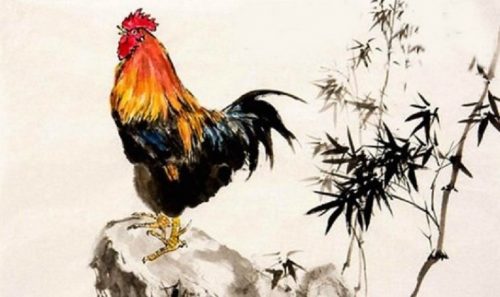 Tử vi tuổi Dậu năm 2026