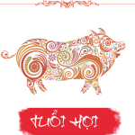 Xem tử vi cho người tuổi Hợi năm 2026