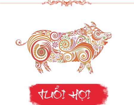 Xem tử vi tuổi Hợi năm 2026