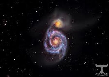 ibvtWYuUialmEC Các cách chia nhóm cung hoàng đạo